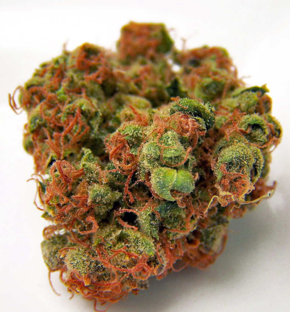 Buy Cherry Kush Strain