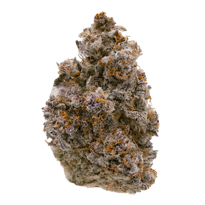 Granddaddy-Purple-Strain-hero-Cannabis-420