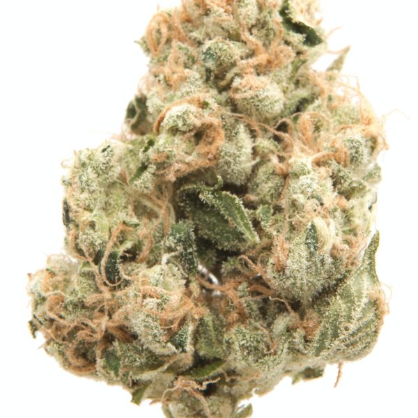 Buy Sour Diesel Cannabis Online