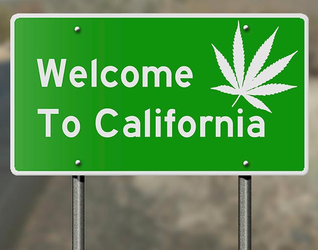 California cannabis legalization