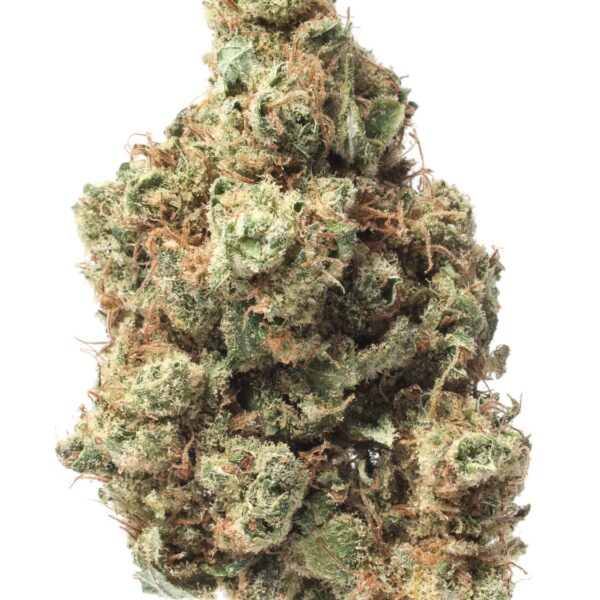 Maui Waui cannabis buds with tropical aromas