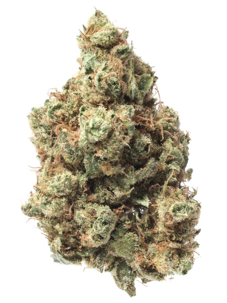 Maui Waui cannabis buds with tropical aromas