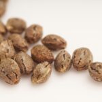 How to tell if cannabis seeds are good or bad?